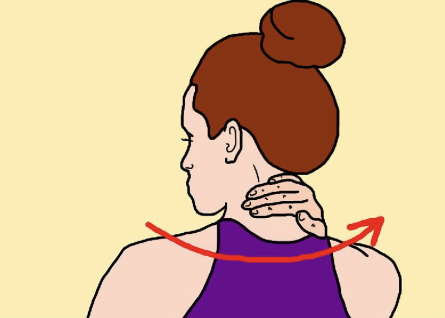 Упражнения для расслабления позвоночника. Гимнастика для расслабления мышц спины и шеи и головы. Расслабить мышцы шеи. Упражнения на растяжение мышц шеи. Йога поза льва.