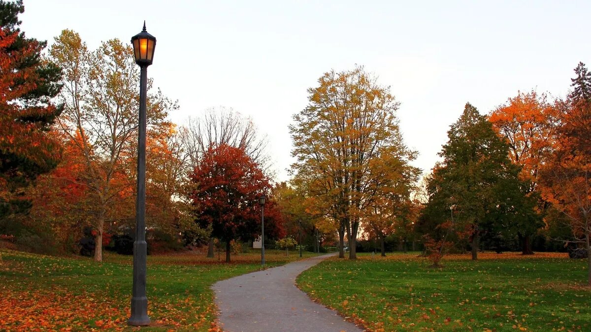 Фото: pxhere.com