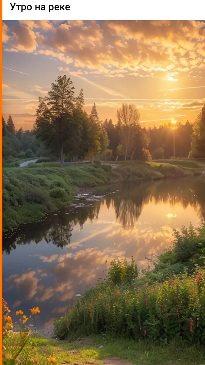 Фото из открытых источников.