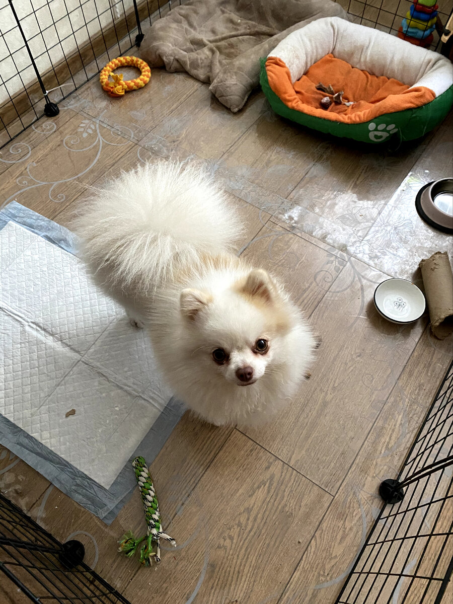 Добро пожаловать ко мне в вольер 