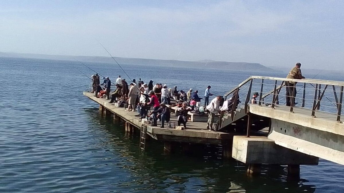     Хорошая погода в этот выходной день вытащила людей на улицу не только ради прогулки, но и ради хорошей рыбалки. Кстати, улов — отличный.