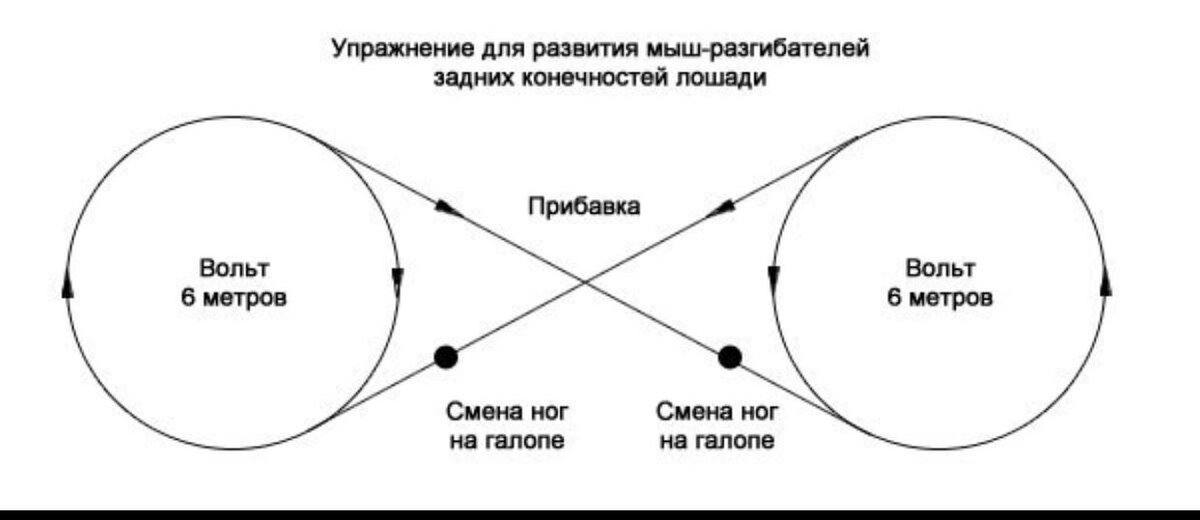 Серпантин на лошади схема