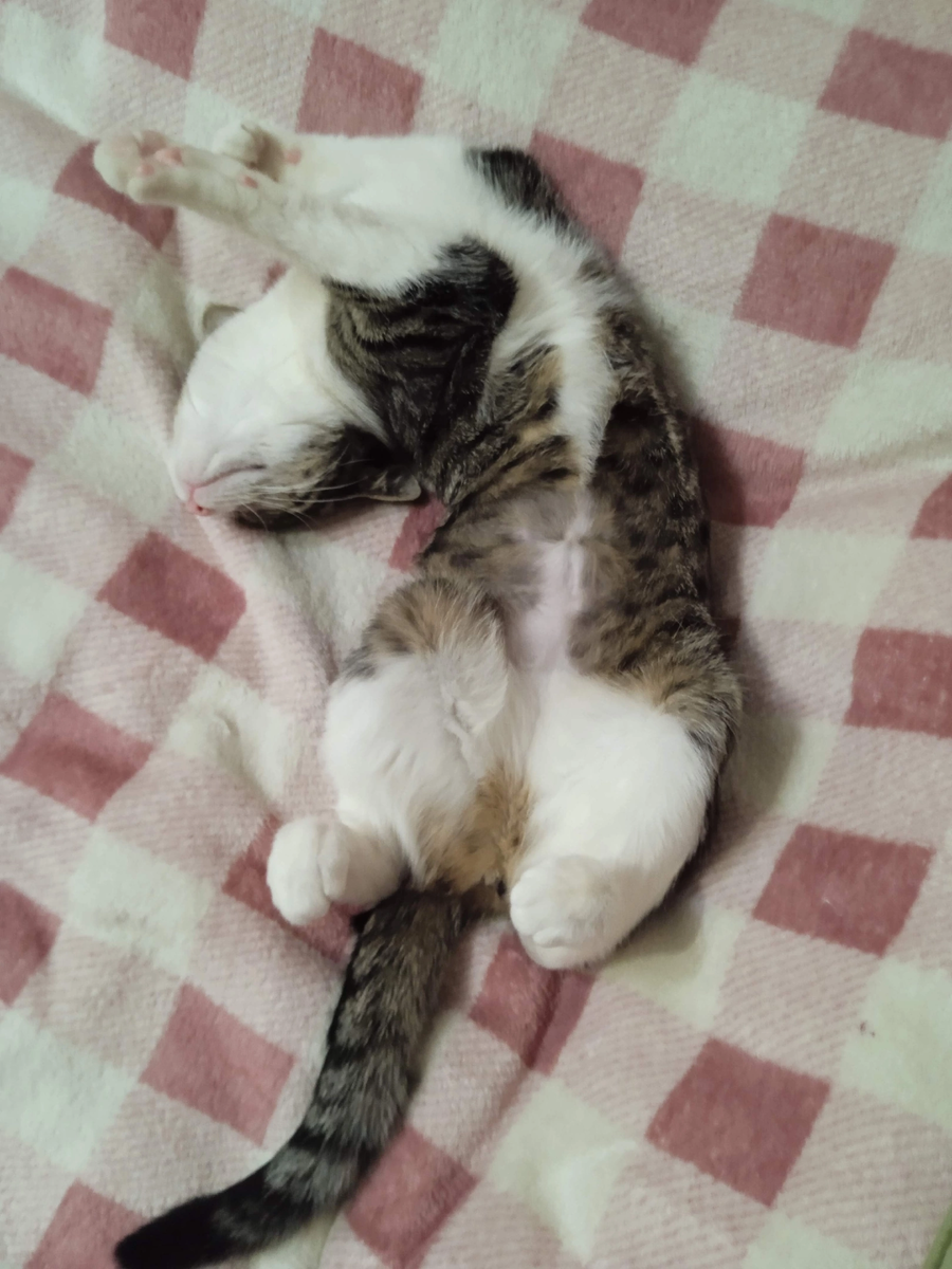 В полном отрубе