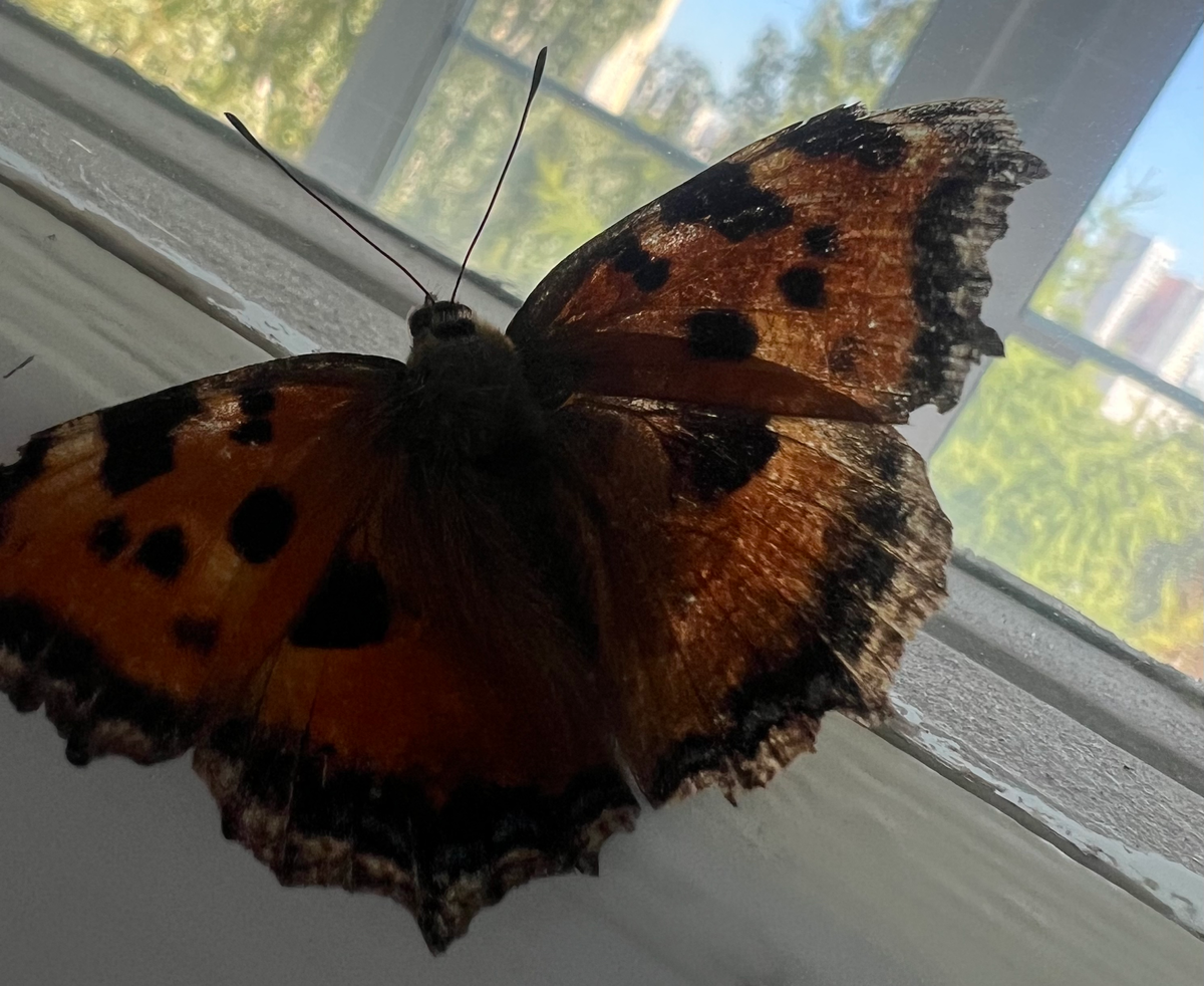 Что делать, чтобы встретить любимого человека как можно скорее?