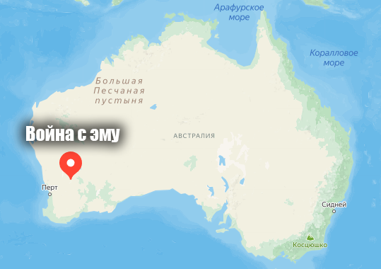 Место проведения операции