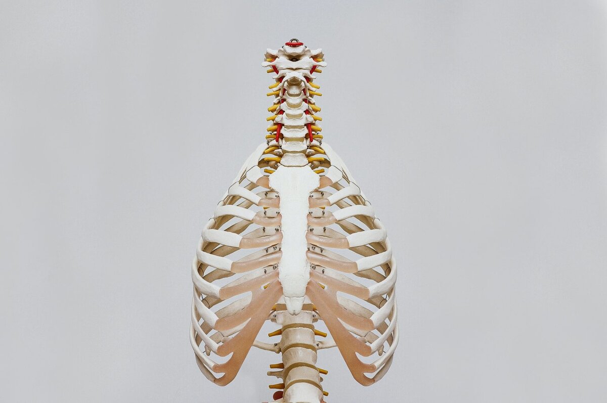    unsplash.com