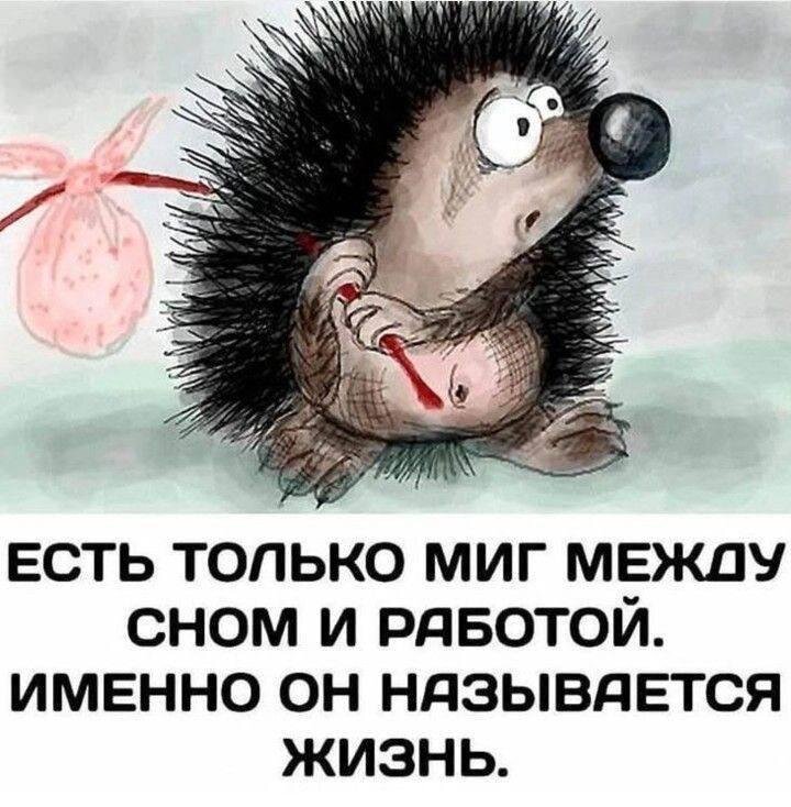 фото в общем доступе