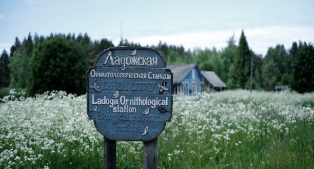Ладожская орнитологическая станция