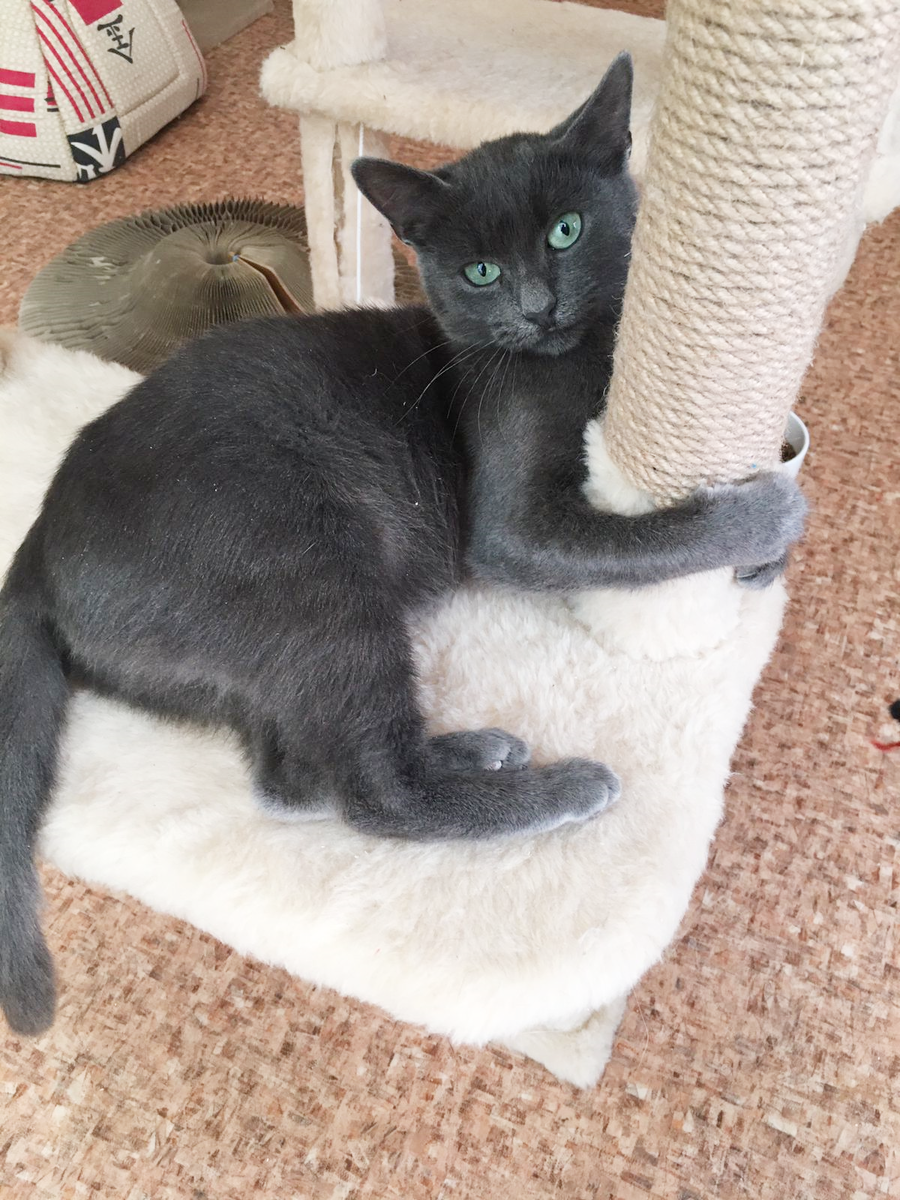 Фото из Северодонецка от Анжелы