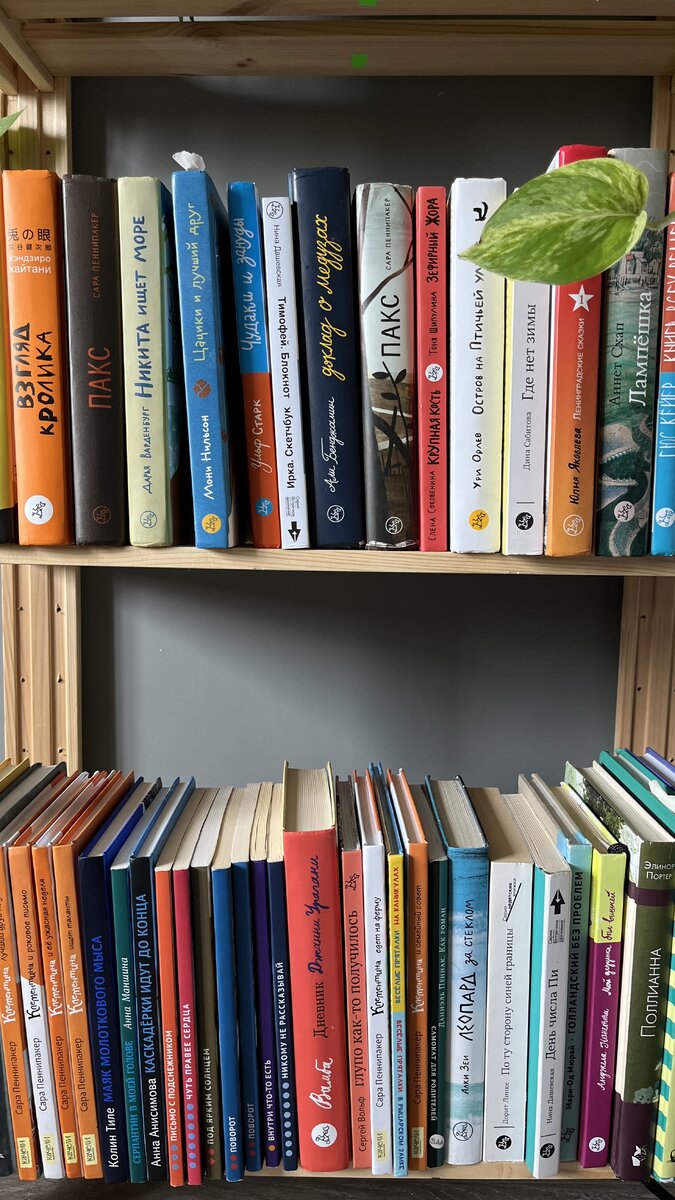 Одна из моих книжных полок