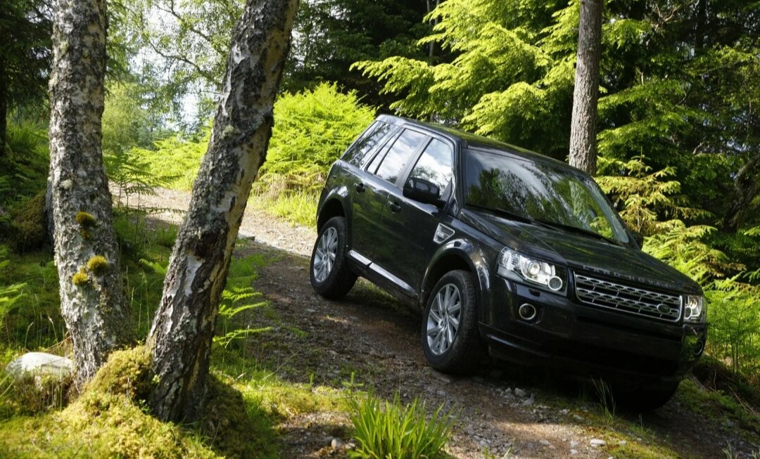 Съезал в пролесок ...( взято из Яндекс картинки ) 