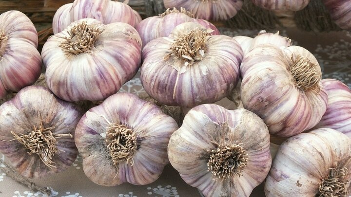 ФОТО: VICTOR LISITSYN/GLOBALLOOKPRESS