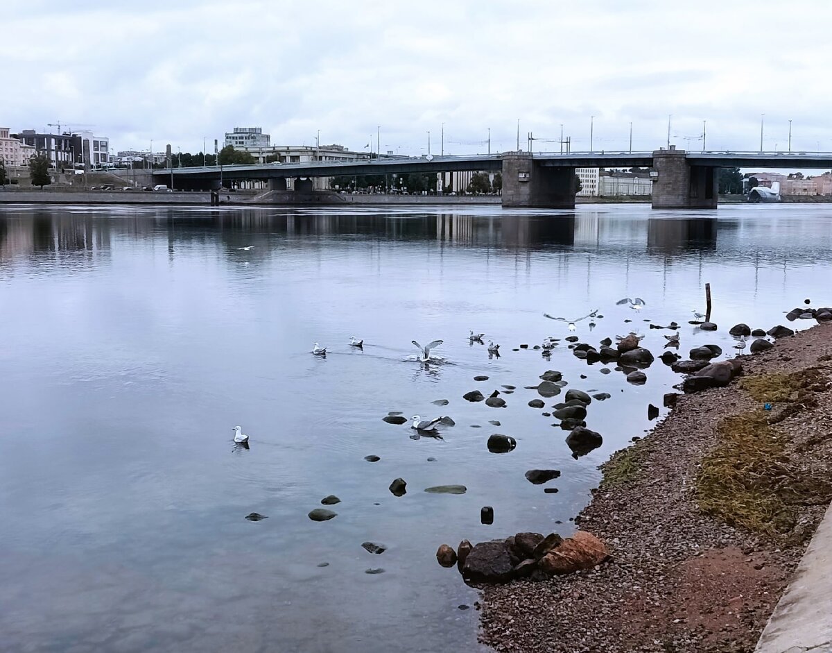 И Нева у дома в городе. 