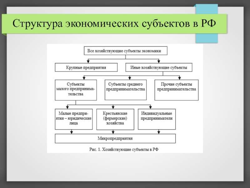 Какие структуры экономики. Структура управления экономического субъекта. Структура экономического субъекта организации. Схема организационной структуры хозяйствующего субъекта. Организационная структура экономического субъекта.