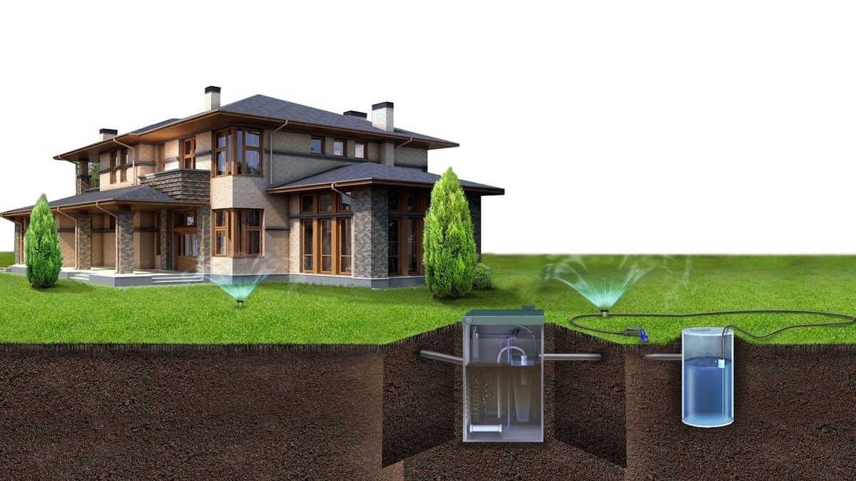 Фото взятоиз открытых источников