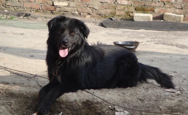    фото Курские известия