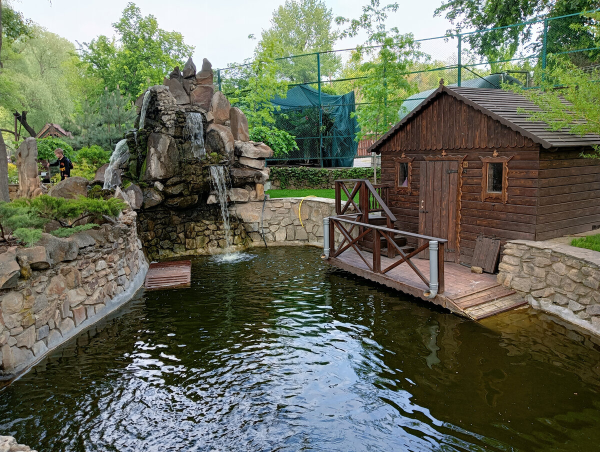 Ландшафтный Парк «Лога». «Лога» Парк расположен в Ростовской области, в  окрестностях города Каменск-Шахтинский, хутор Старая Станица. | Пеликан и  Лилии | Дзен