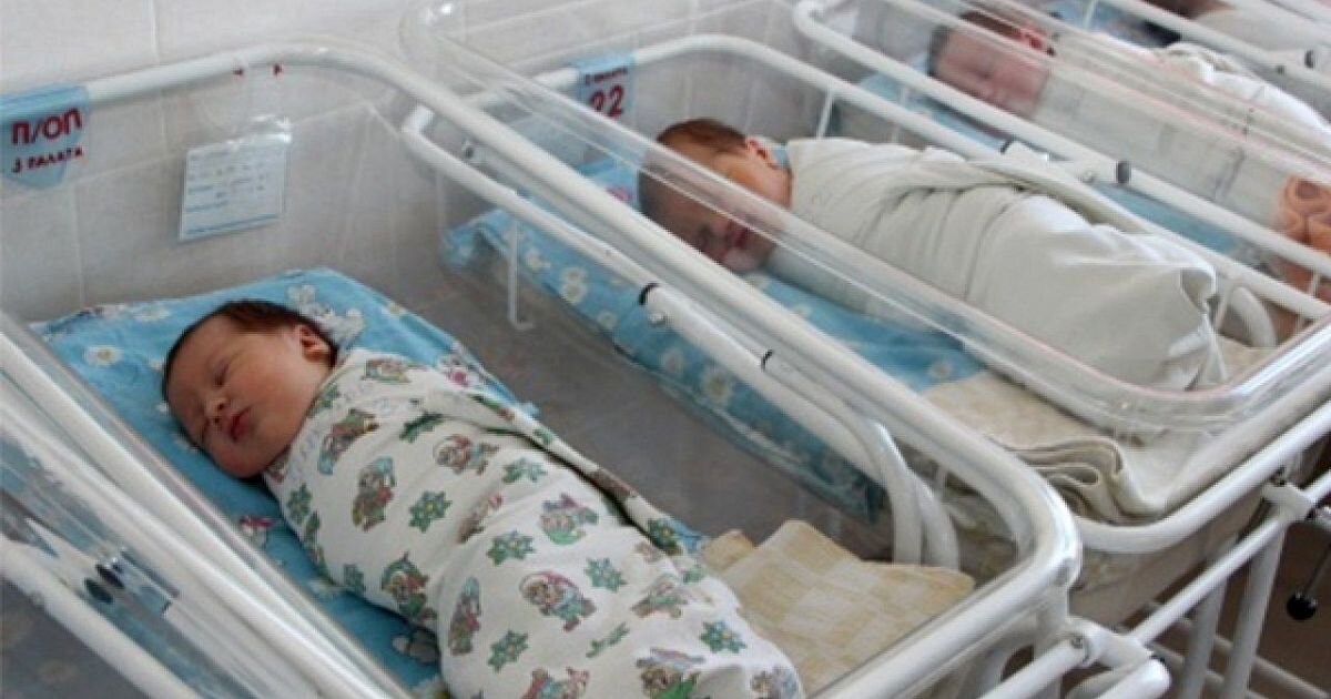 Фото из интернета. Новорожденные.