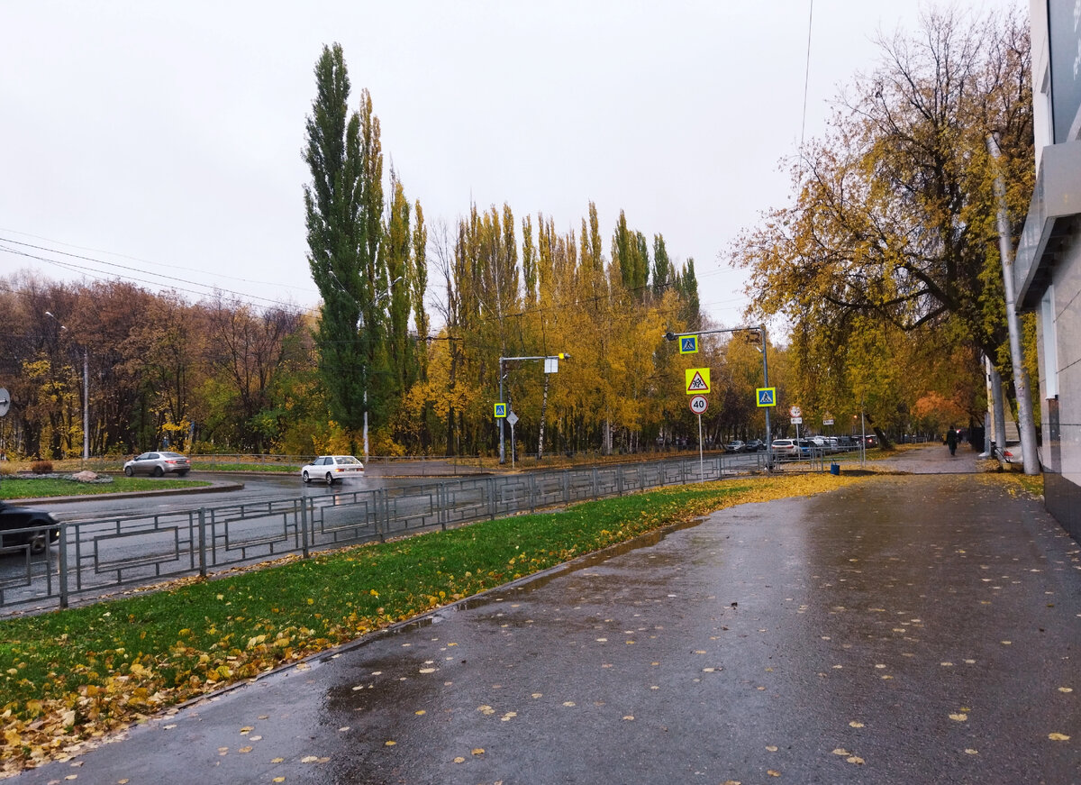 Фото автора.