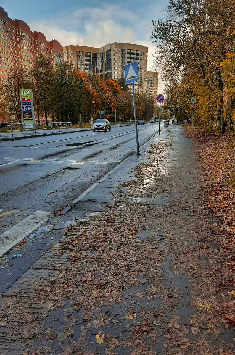 Улица Центральная