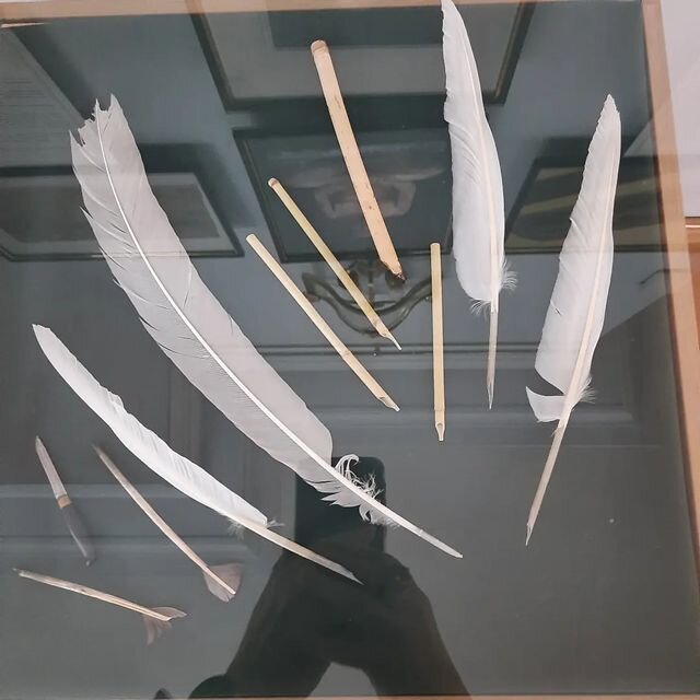 Перья разные нужны, перья разные важны!