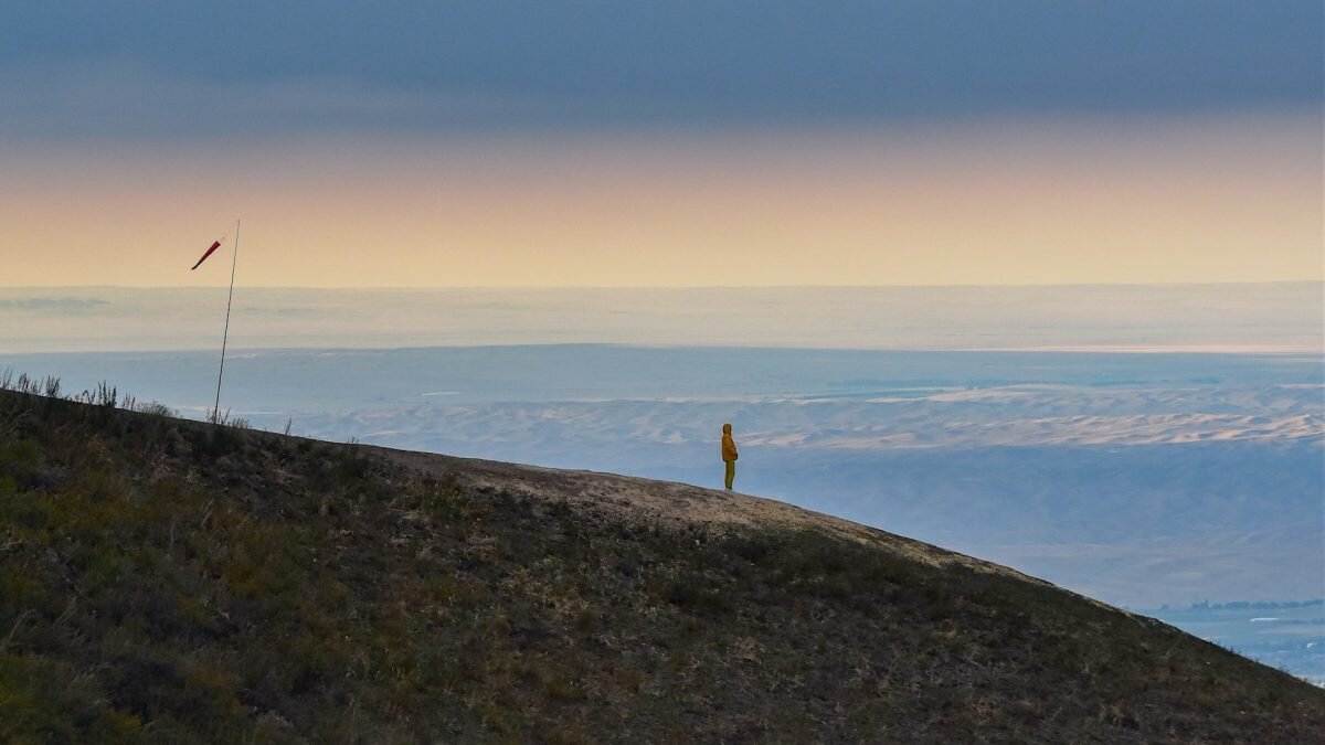    Фото: Unsplash Август Макаров
