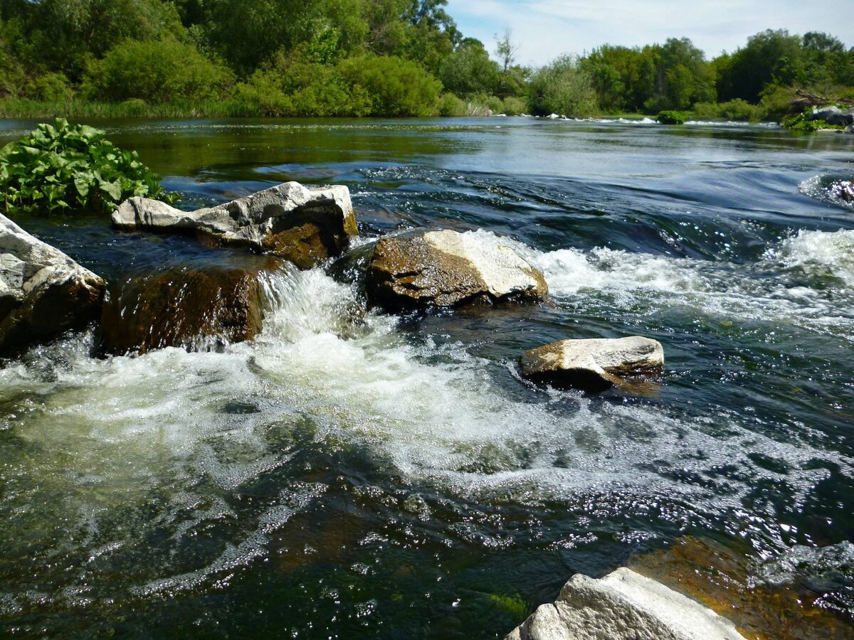 Яндекс. Открытый источник 