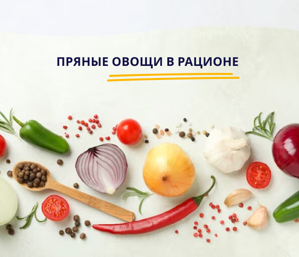 Пряные овощи являются необходимой частью большинства блюд, используемых в повседневном питании 🍳 


Привет, друзья, меня зовут Татьяна Рыбалко я врач эндокринолог -диетолог !


В отличие от специй они обладают выраженной биологической активностью, содержат витамины С, B6, каротин, фолацин и др. Этот комплекс витаминов проявляет биологическое действие даже при сравнительно небольшом количестве пряных овощей в рационе.

В разных странах и областях в качестве пряных овощей используются многие травы и корни. Потребность в пряных овощах составляет около 2% от общей нормы потребления овощей.


⏺ Укроп. В 100 г укропа, содержится 100 мг аскорбиновой кислоты. Жевание после обильной пищи семян укропа улучшает пищеварение, снимает ощущение тяжести в желудке.


⏺ Петрушка. В 100 г. зелени петрушки содержится 1,7 мг, В-каротина и 150 мг аскорбиновой кислоты. Зелень петрушки характеризуется высоким содержанием железа 1,9 мг.

🧅 Лук (репчатый, лук-порей и лук-батун) В луке содержатся разнообразные минеральные вещества и витамины. Наибольшую ценность в витаминном отношении представляет зелёный лук (перо) - в нем высокое содержание В-каротина и аскорбиновой кислоты.


🧄 Чеснок относится к пряным овощам, обладающим резким вкусовыми и ароматическими свойствами. Как источник аскорбиновой кислоты чеснок не представляет ценности, зато обладает бактерицидными свойствами благодаря содержанию в нём фитонцидов. Чеснок используется как лекарственное растение при лечении сосудистых и многих других заболеваний. 

⏺ Хрен отличается высоким содержанием аскорбиновой кислоты 55 г на 100 г и является источником фитонцидов.

🌱 Ревень (листья и черешки) используют до цветения растения. Из него можно готовить салаты, кисель, компот, начинку для пирогов. Ревень не нарушает процессов пищеварения, не воздействуют на секрецию желудочно-кишечного тракта, а усиливает перистальтику только на уровне толстого кишечника.

🪴 Огуречная трава - древние лекарственное растение. Листья её с запахом свежего огурца добавляют в винегреты, окрошку, холодный борщ. Огуречная трава благоприятно действует на обмен веществ. 

🥬 Листья молодого салата не зря называют завтраком королей. Действительно, столь нежного и изысканного вкуса не имеет никакое другое растение. Содержащееся в салате, вещество лактуцин успокаивает нервную систему, улучшает сон, снижается заболеваемость атеросклерозом. Органические кислоты предупреждают отложения солей, пектины стимулируют работу кишечного тракта. В листьях салата содержится почти все известные витамины.


🍃Шпинат содержит белки, сахар, аскорбиновую кислоту, витамины группы B, витамины P, К, Е, D, минеральные вещества: магний, калий, фосфор, кальций, железо, йод. Всё это делает шпинат одним из ценнейших диетических продуктов. В нём содержится секретин, благотворно действующий на работу желудка и поджелудочной железы, особенно полезен шпинат при малокровии.

🪴 Щавель, который используют до цветения, улучшает пищеварение и уменьшает гнилостное брожение в кишечнике. Сок щавеля используют как желчегонное средство. Это также богатый источник витамина В. Листья щавеля в сушеном виде не теряют своих питательных свойств. 

🌿 Крапива содержит огромное количество биоактивных веществ - органические кислоты, минеральные соли железа, фосфора, кремния, витамин К, витамин C, белковые и дубильные вещества. В лечебных целях используются тонизирующие и желчегонный её свойства.

☀️ Листья одуванчика содержат много витаминов и микроэлементов, салат из них стимулирует выделение желчи и улучшает аппетит. В корнях одуванчика содержатся полисахариды, органические кислоты, витамины и микроэлементы.

А что любите вы? Пробовали когда-нибудь крапиву, ревень или одуванчик?