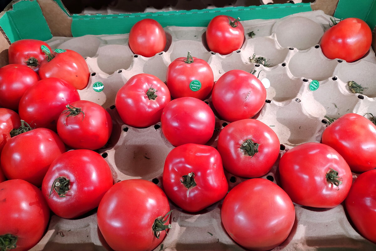 ФОТО: MAKSIM KONSTANTINOV/GLOBAL LOOK PRESS