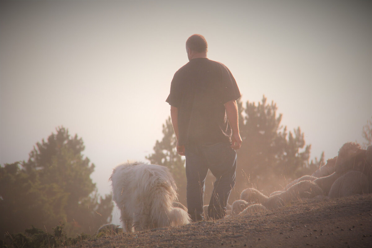 Хотите ли Вы быть несчастным?!