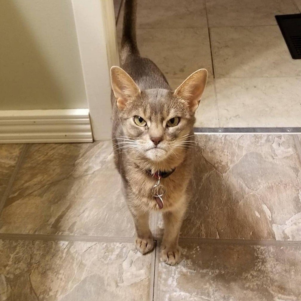 иллюстрация из яндекс картинки.