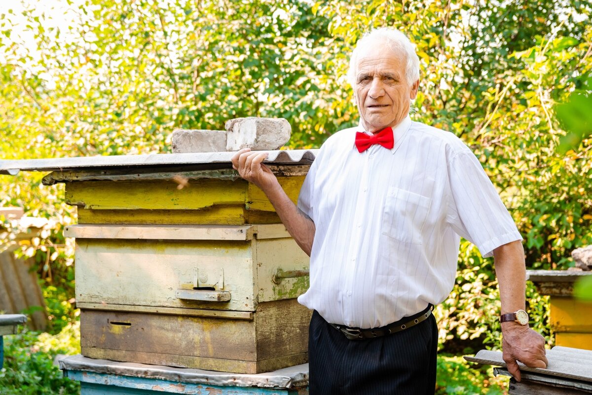 Пасека папы