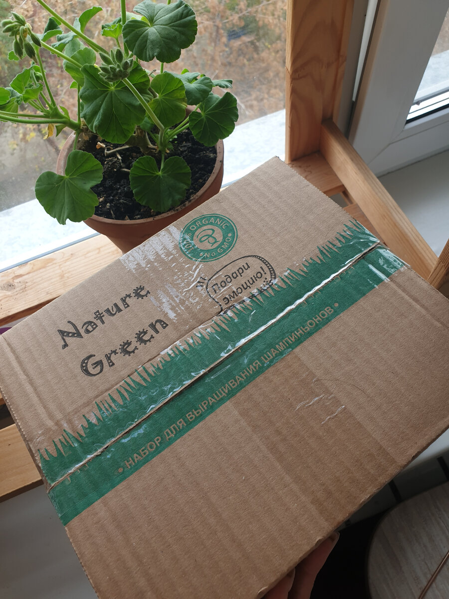 Набор для выращивания шампиньонов