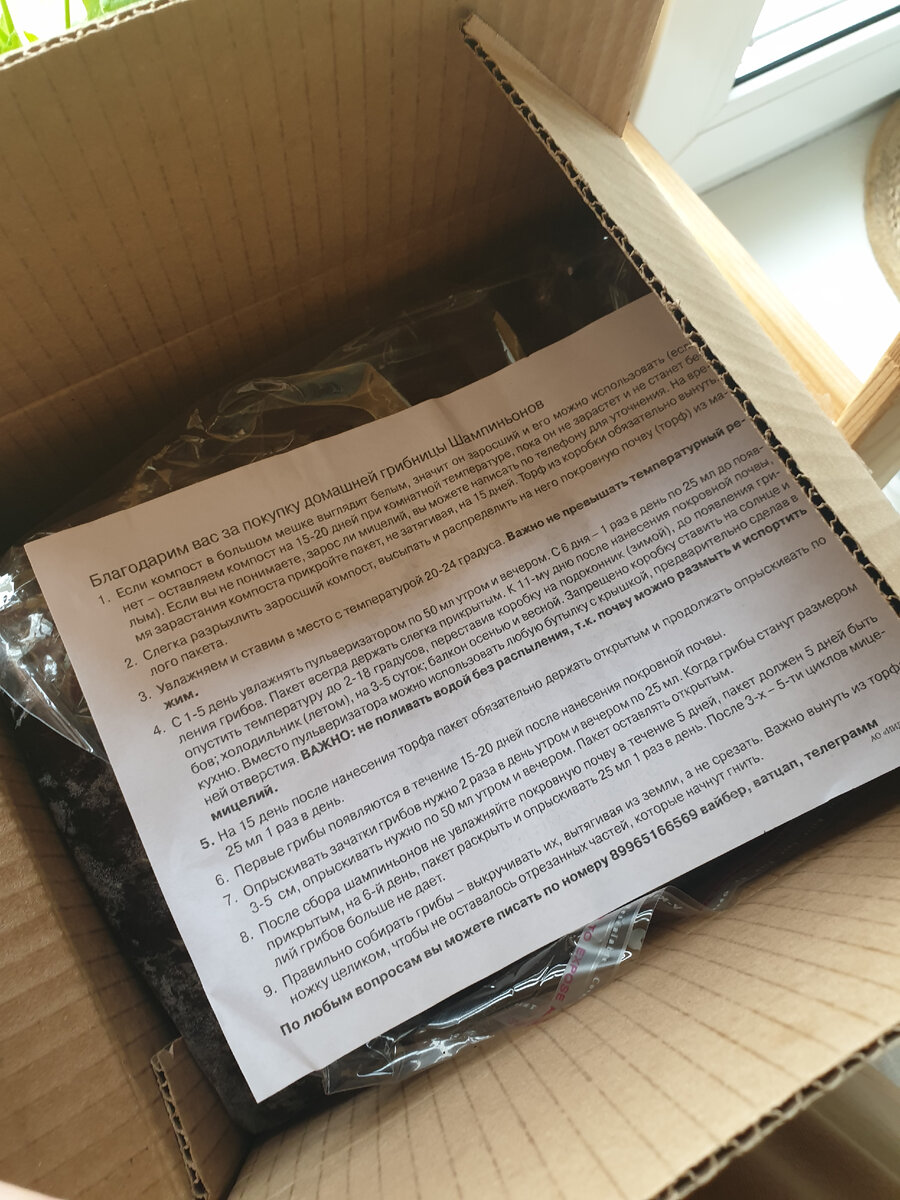 Инструкция по выращиванию шампиньонов в домашних условиях