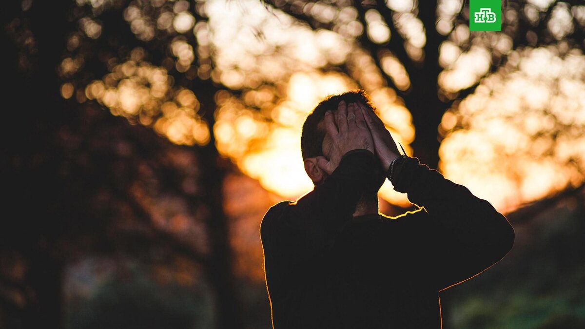    Фото: Francisco Moreno / unsplash.com