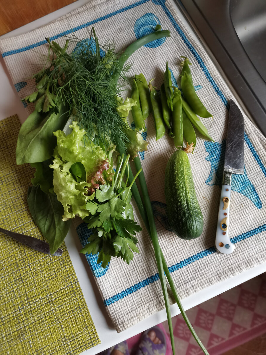 Кое-что из зелени. Фото: фото из личного архива (с).