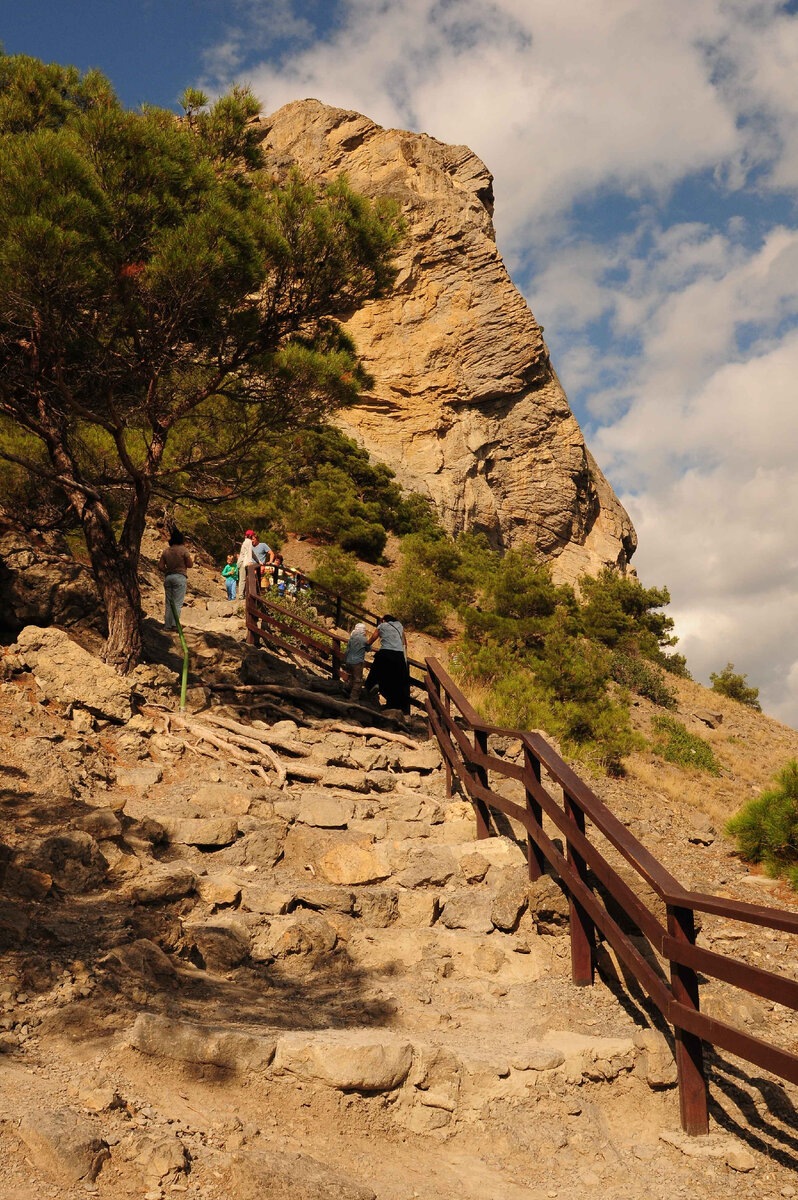 Голицынская тропа. Маршрут №1.