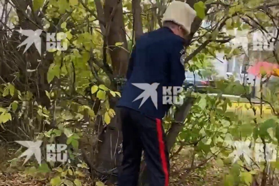    Казак справил нужду в центре Рязани...