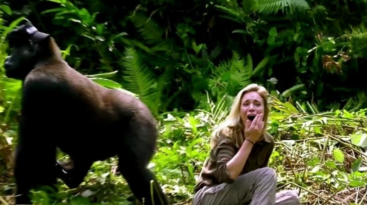 Прямо на Полину, скаля острые клыки, неслась огромная горилла. Животное ловко передвигалось по джунглям, не обращая внимания на дождь и мокрые листья под ногами.-2