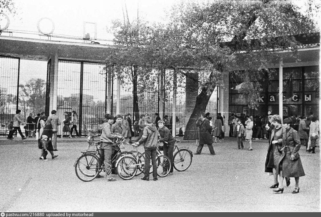 Московский зоопарк, 1983 год. Автор: motorhead.