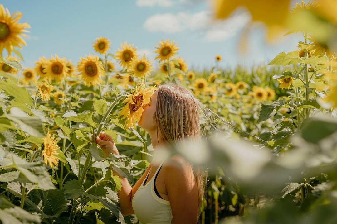 Источник: https://unsplash.com/