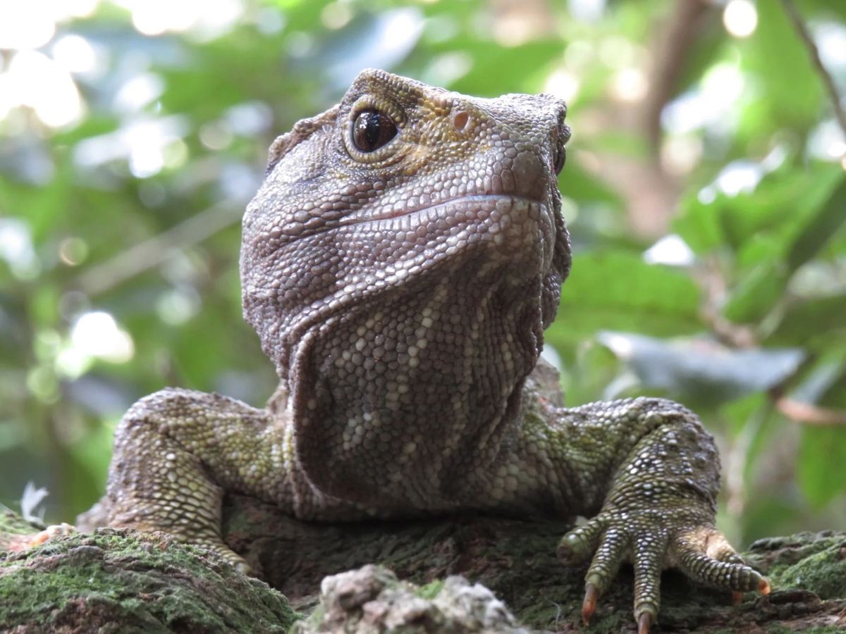 Эх молодежь! Вечно куда-то спешат.
