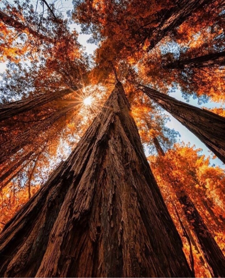 фото из общедоступных источников 