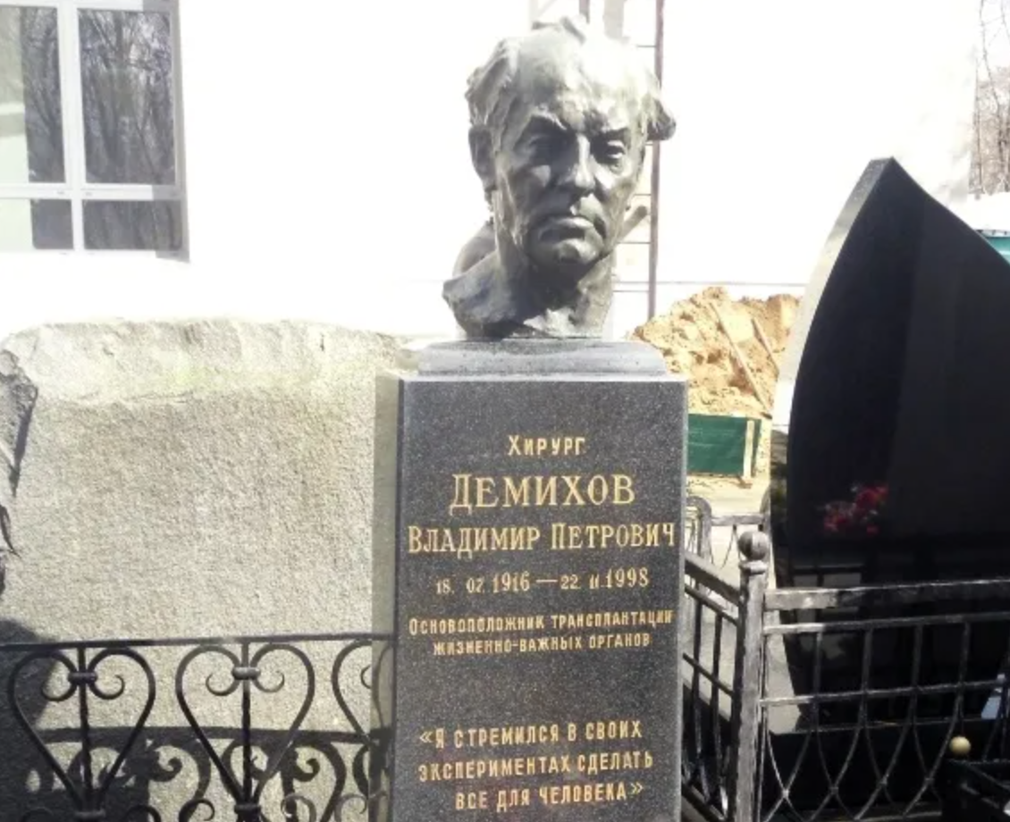 Демихов модель органа. Владимира Петровича Демихова. В П Демихов.