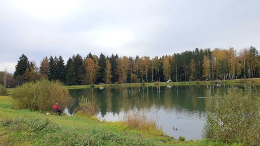 Болталка на прогулке.Что нельзя делать женщине после 60.Наговорила лишнего)