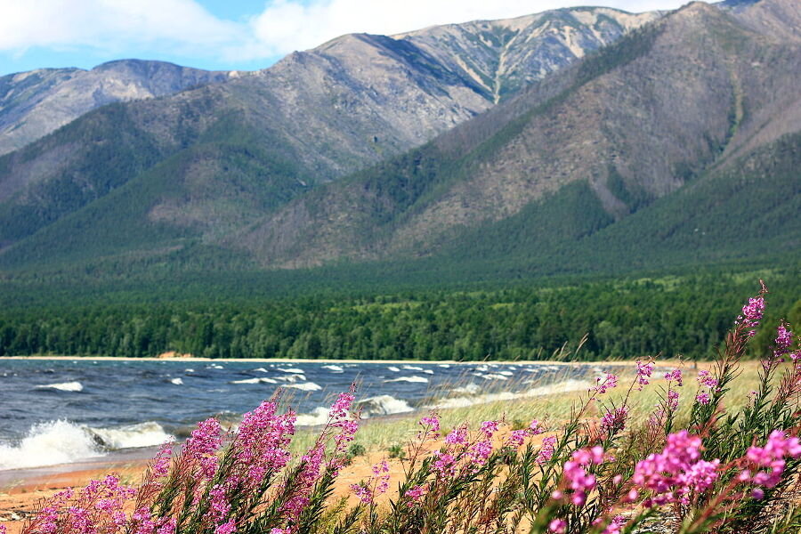 razrisyika.ru
