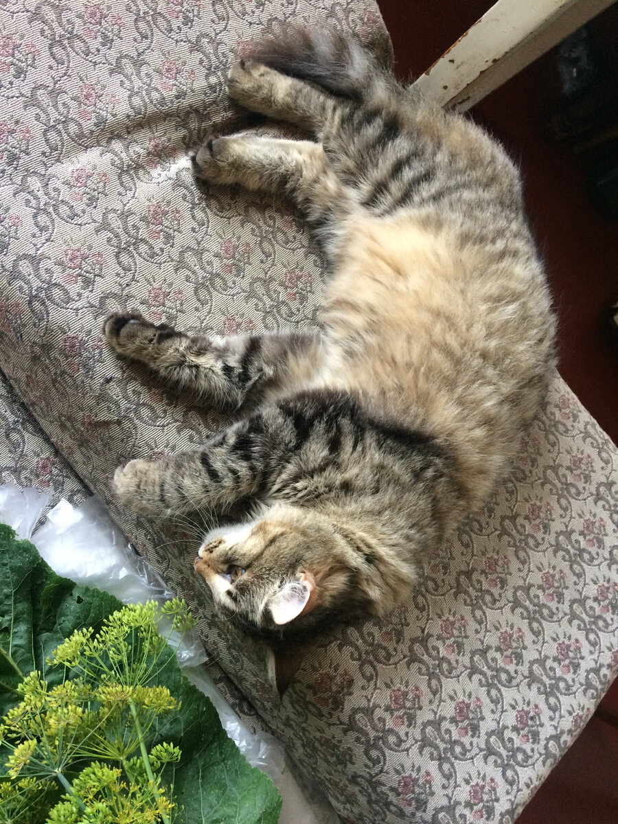 личное фото автора