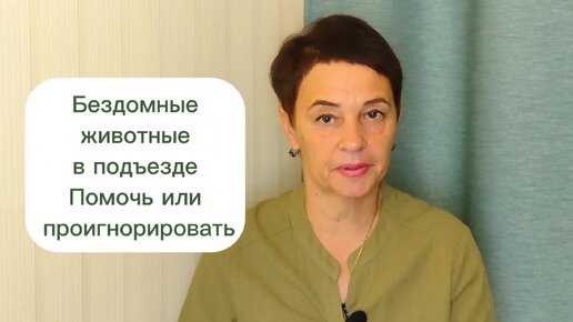 Бездомные животные в подъезде. Помочь или проигнорировать