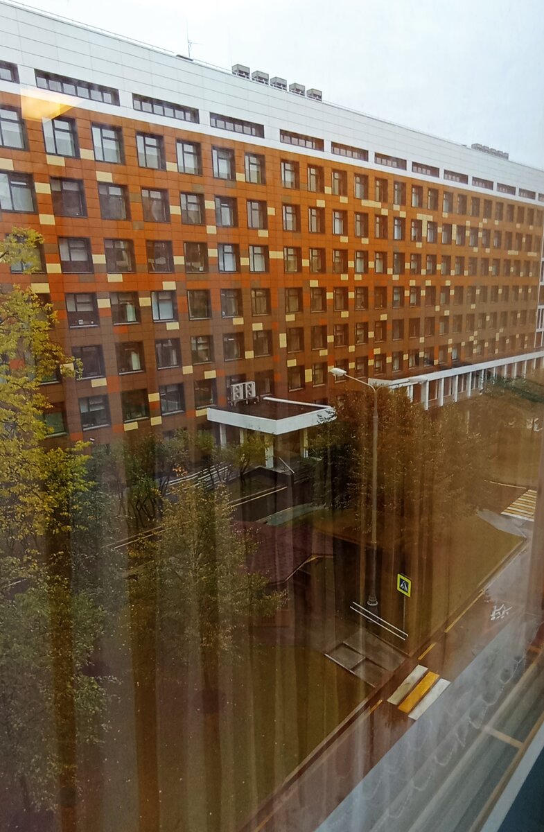 15.10.2023 г. Воскресенье. Утро. Осень в Морозовской. Фото автора.