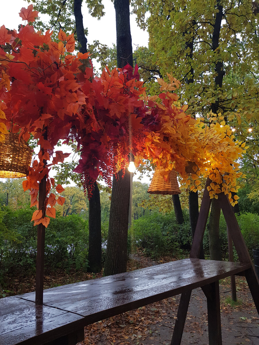Елагин остров в Санкт-Петербурге (Фотография автора)